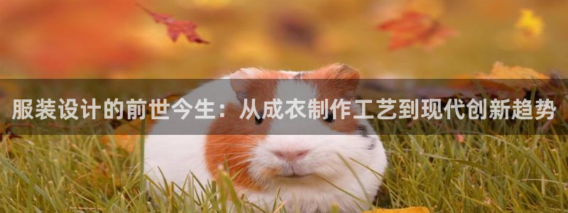 北京天辰娱乐