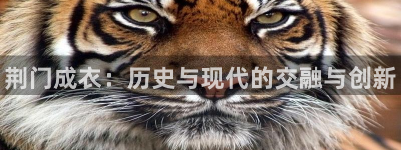 天辰说娱乐
