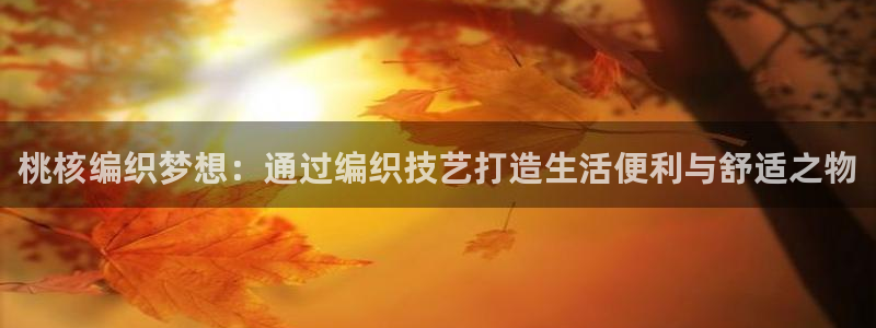 天辰娱乐官
