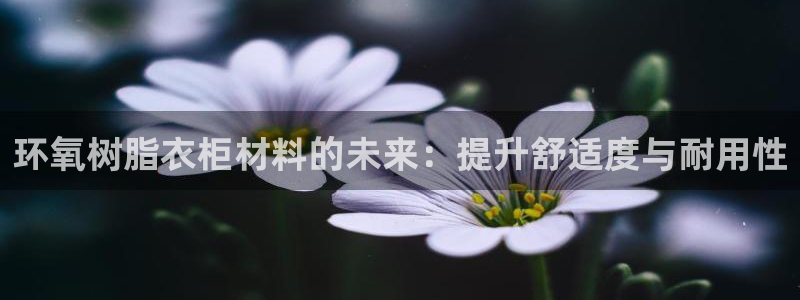 nba天辰娱乐