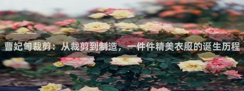 天辰娱乐天辰宝