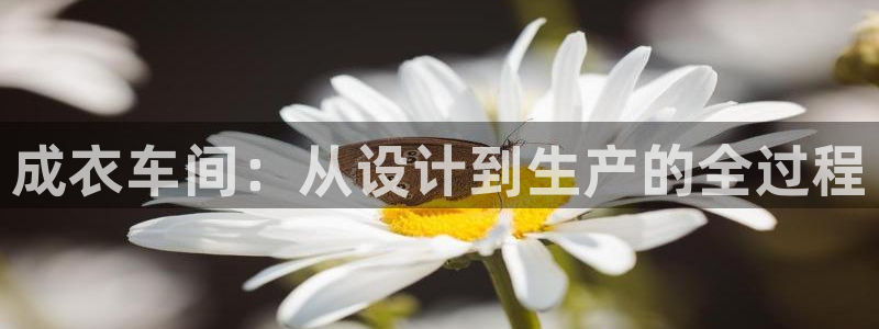 天辰娱乐1956