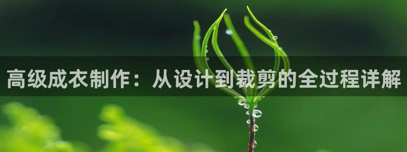 天辰娱乐会所
