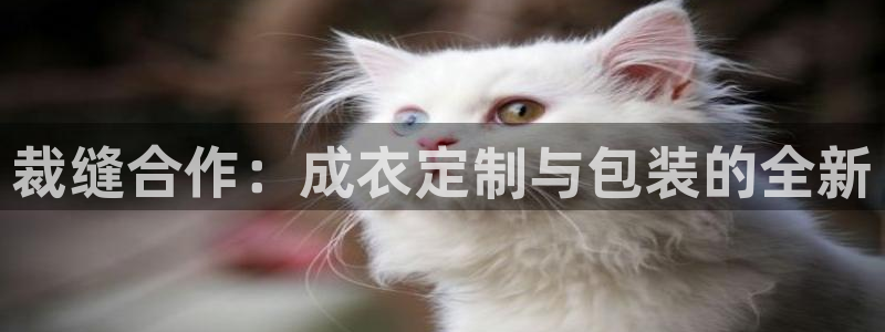 天辰娱乐51137