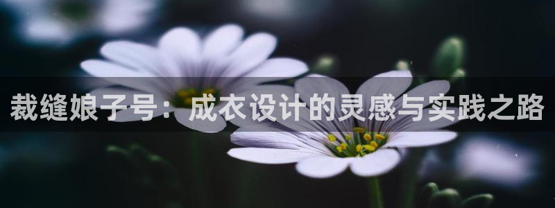 天辰娱乐文案