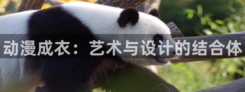 集宁天辰娱乐