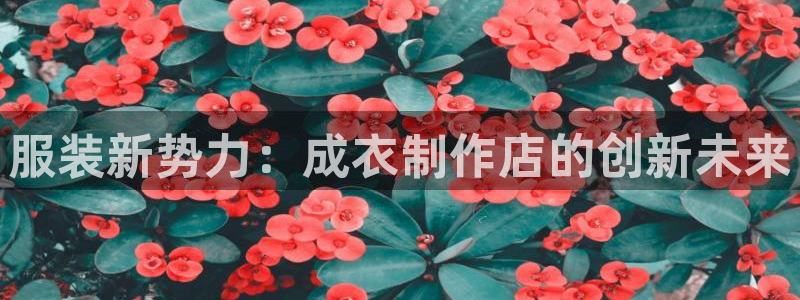 天辰娱乐957807