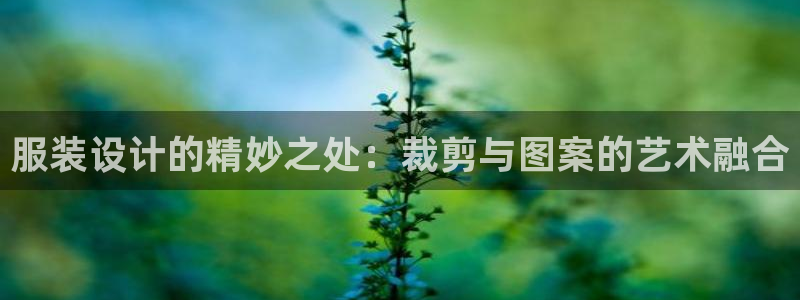 天辰娱乐44616