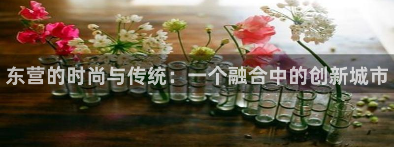天辰娱乐维护