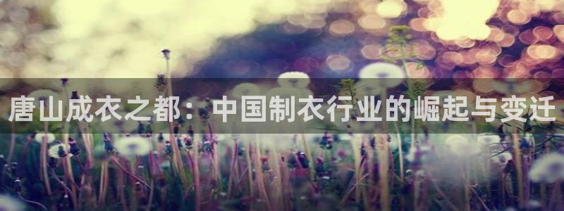 天辰娱乐下载