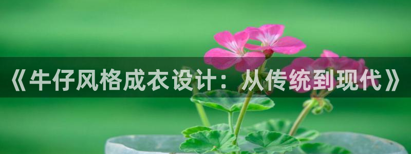 天辰娱乐官网平台入口