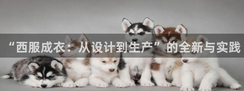 天辰娱乐84566