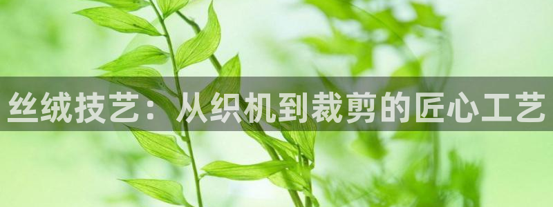 天辰娱乐指定