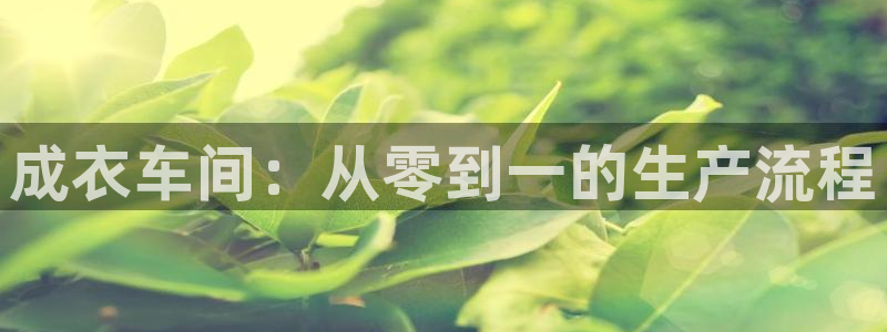 天辰娱乐游客