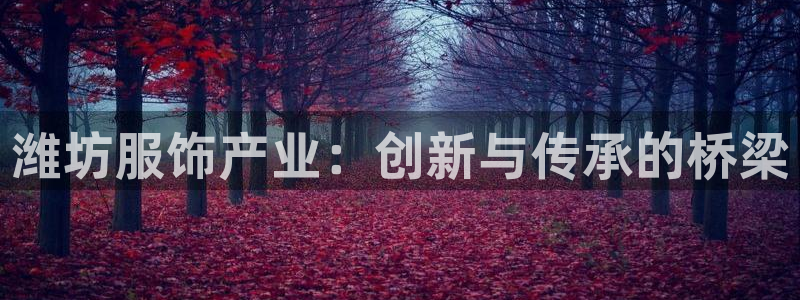 北京天辰娱乐