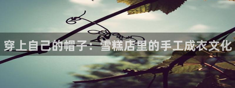 天辰娱乐1980