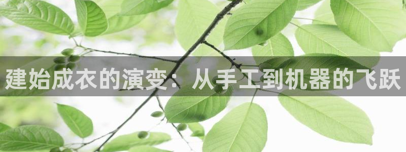 天辰娱乐 主管
