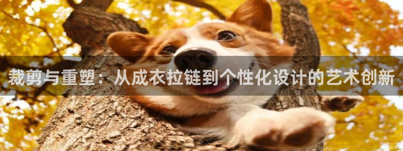 天辰娱乐代理