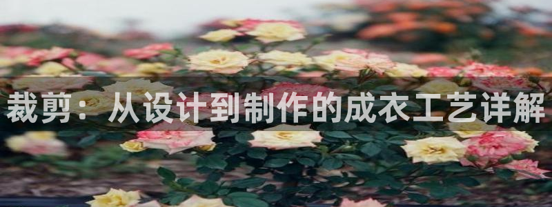 天辰娱乐登陆