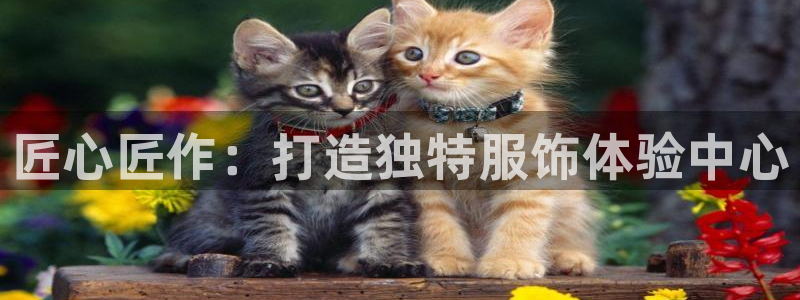 天辰娱乐文案