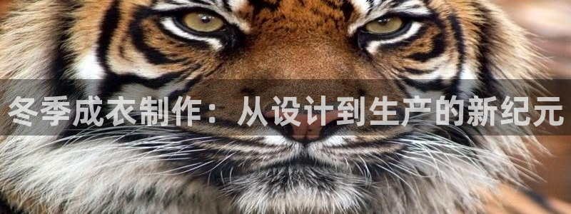 天辰宝娱乐