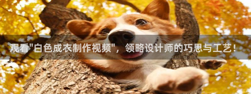 天辰娱乐游客