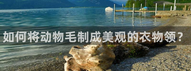 天辰宝娱乐
