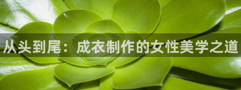天辰娱乐测速