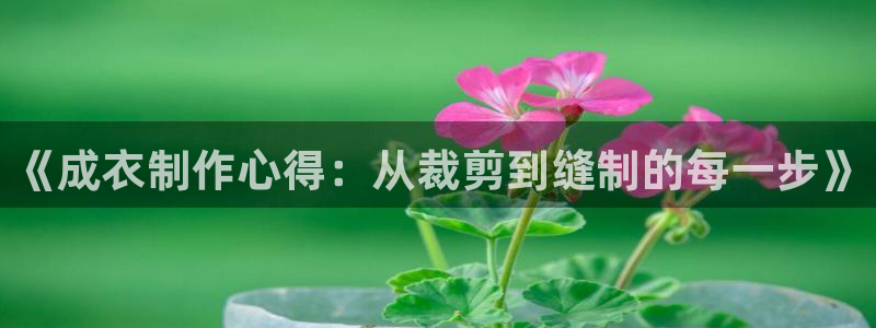 天辰娱乐小妹