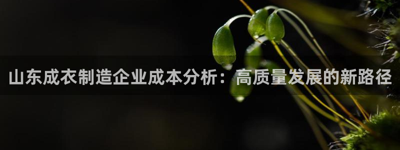 天辰娱乐赌博