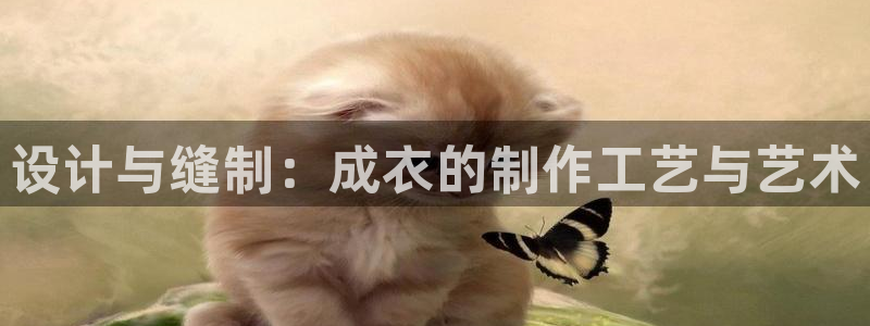 天辰娱乐代理