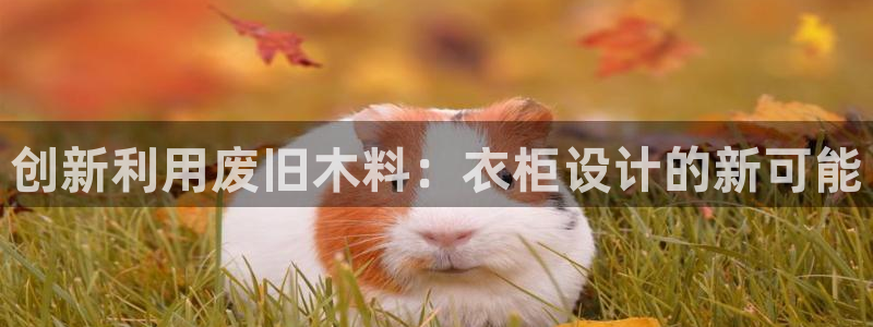 天辰娱乐平台测速