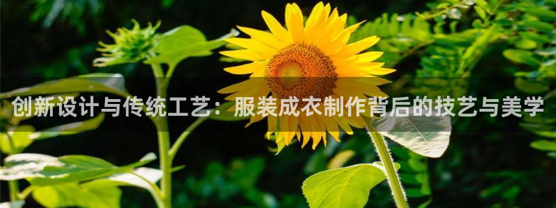 天辰娱乐主管