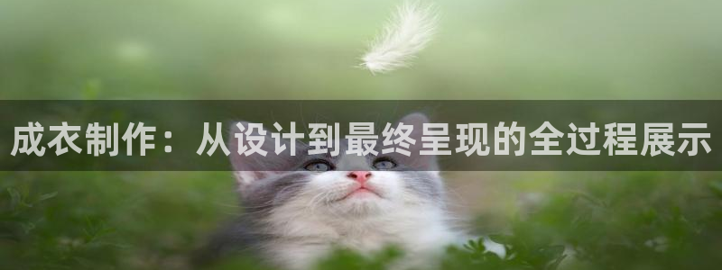 天辰娱乐小妹