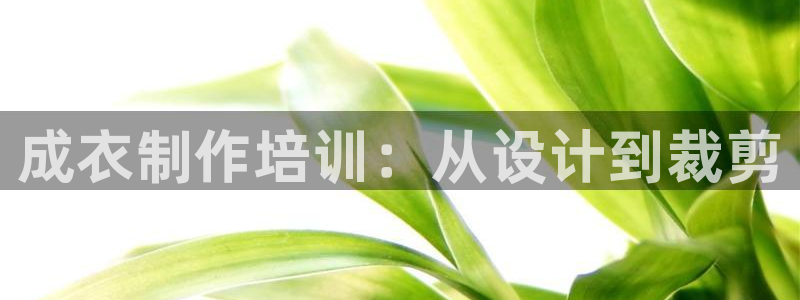 天辰娱乐平台安全吗