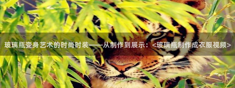 天辰娱乐 天辰平台