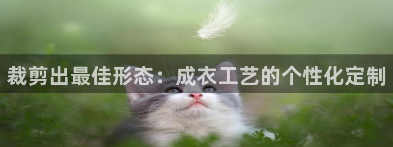 哈尔滨天辰娱乐