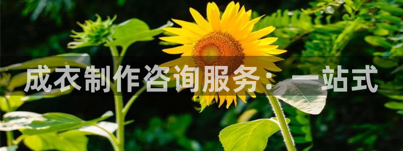 天辰娱乐的网址首页