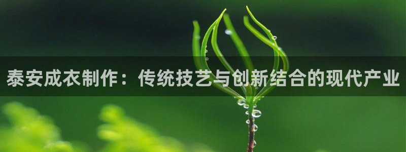 天辰娱乐 天辰平台