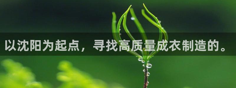 天辰娱乐2