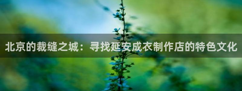 天辰娱乐22650