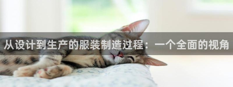 天富天辰娱乐