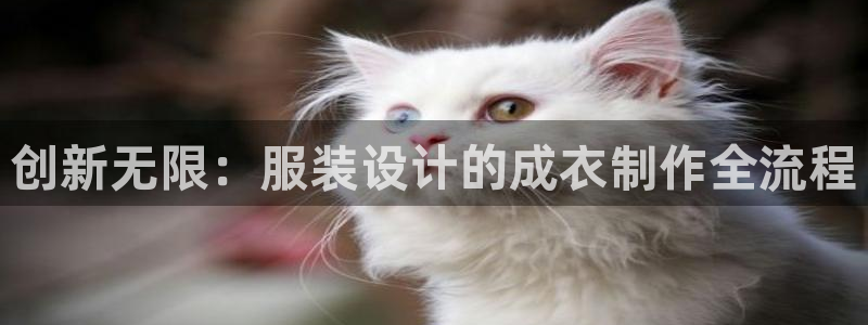 天辰娱乐说