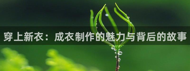 天辰天富娱乐