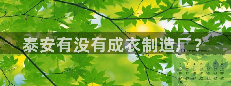 天辰娱乐待遇