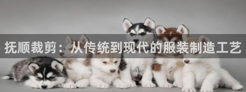 天辰娱乐解封