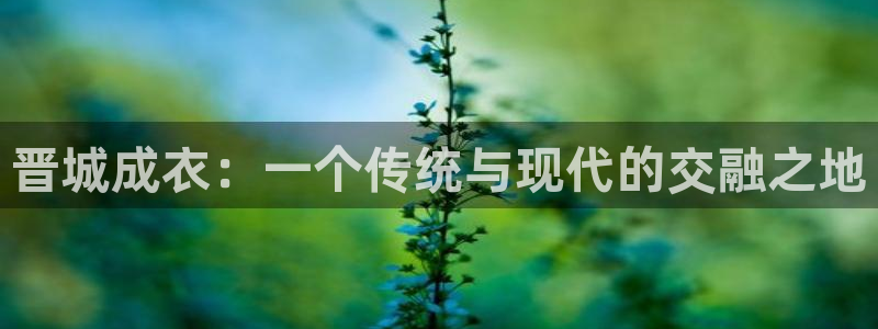 天辰娱乐官