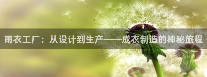 天辰娱乐平台地址