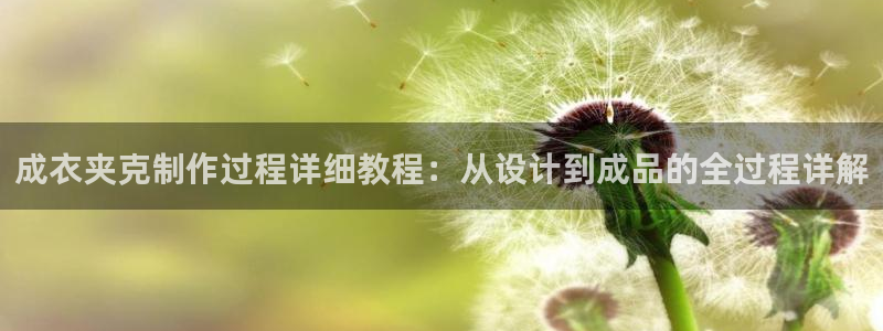 天辰娱乐天辰宝
