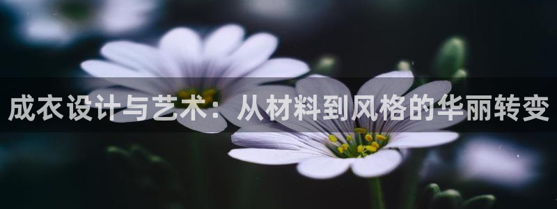 天辰娱乐登陆平台